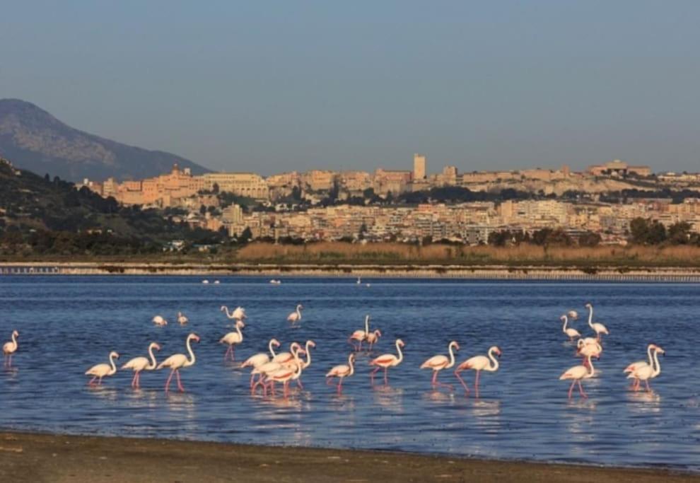 Stupenda Suite A Cagliari Piazza Galilei Eksteriør billede
